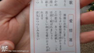 Thumbnail of post image 188